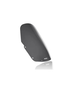 Windschild