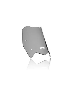 Windschild