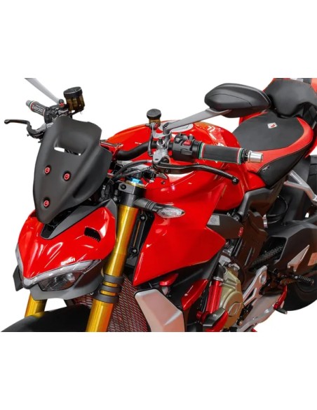 WRS Windschilde für DUCATI STREETFIGHTER V4 1100 ABS 2020-2022