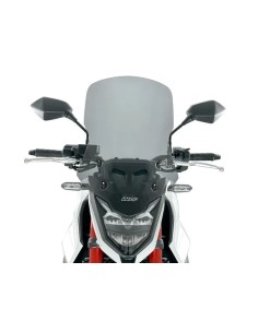 Windschild