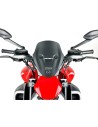 Windschild