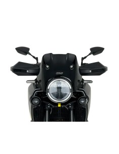 Windschild