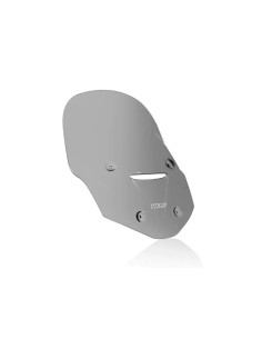 Windschild