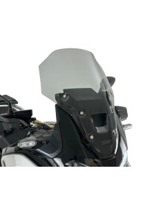 Windschild