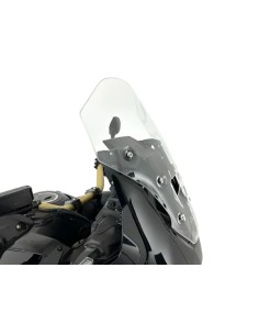Windschild