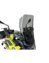 Windschild