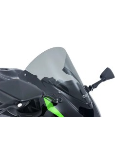 Windschild Race ZX-6R