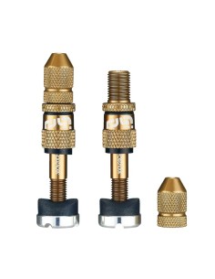 Quick Fill Schrader Ventil-Sets für schlauchlose Reifen