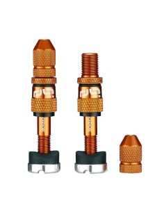 Quick Fill Schrader Ventil-Sets für schlauchlose Reifen