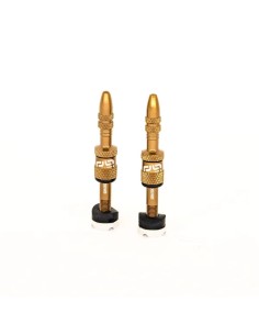 Quick Fill Presta Ventil-Sets für schlauchlose Reifen