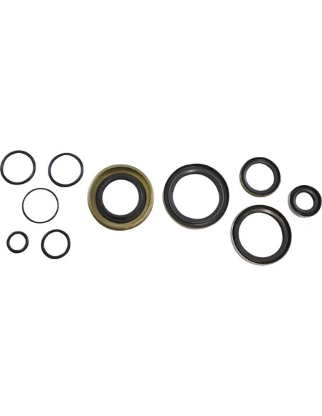 VINTCO Dichtungen & Öldichtungen für KAWASAKI KX 250 1978-1979