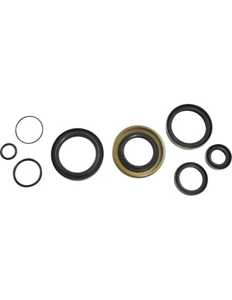 VINTCO Dichtungen & Öldichtungen für KAWASAKI KX 250 1974-1976