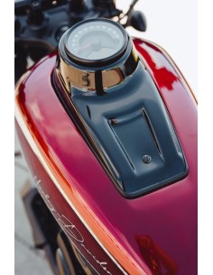 Dash Cover für Harley