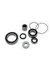 Servicekit Giant SyncDrive Core Motor