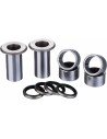 Schwingenlager-Kit