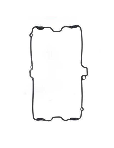 CENTAURO Dichtungen & Öldichtungen für SUZUKI GSF 1200 1996-2006