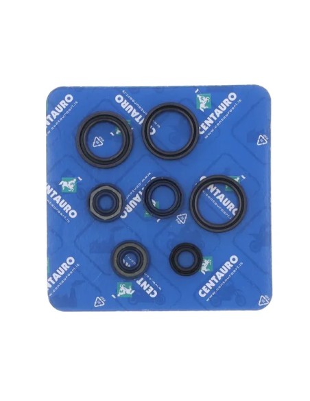 CENTAURO Dichtungen & Öldichtungen für APRILIA RS 125 1995-2010