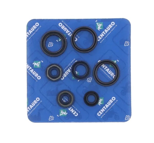 CENTAURO Dichtungen & Öldichtungen für APRILIA RS 125 1995-2010