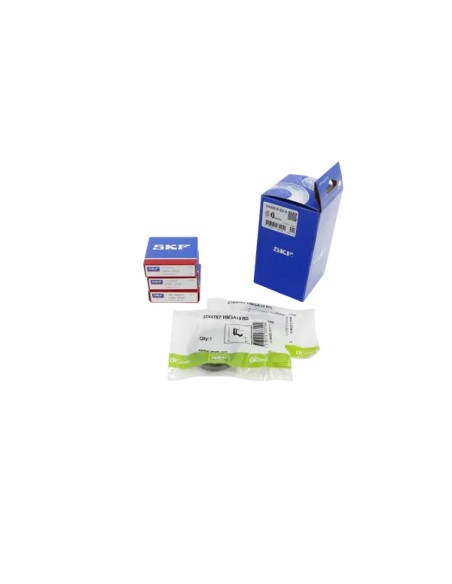 SKF Lager- und Dichtungssätze für GAS GAS EC 250 2004-2013