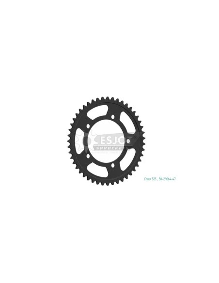 ESJOT Ritzel & Kettenräder für BMW M 1000 XR ABS 2024