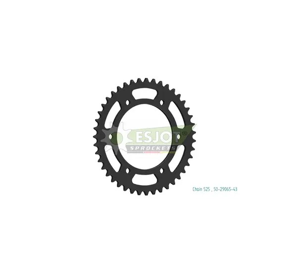 ESJOT Ritzel & Kettenräder für QJMOTOR SRV 550 ABS 2023-2024