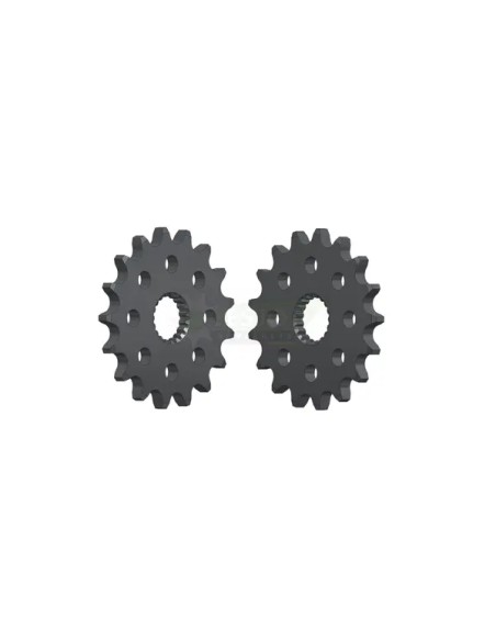 ESJOT Ritzel & Kettenräder für BRIXTON BX 1200 ABS 2024-2025
