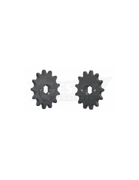 ESJOT Ritzel & Kettenräder für SYM CR 300 I 2019-2020