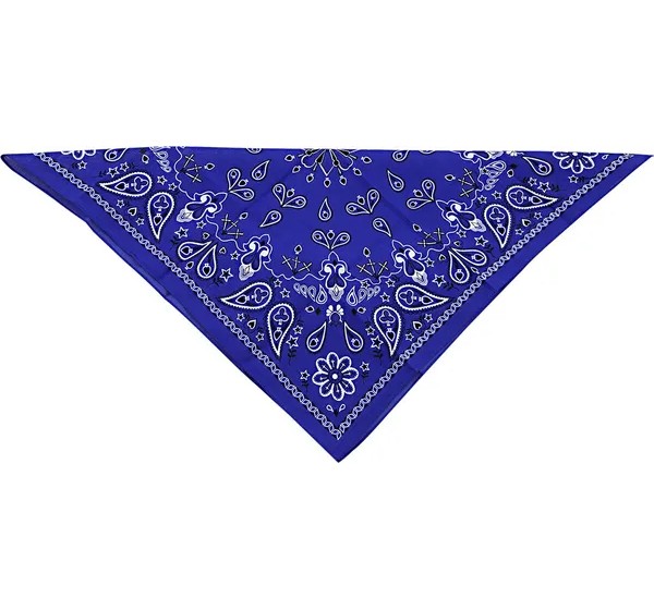 ZAN HEADGEAR Kopf- & Halsbedeckungen - BANDANA COTTON NVY PAISLY