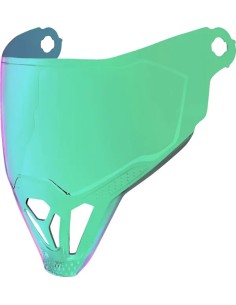 ForceShield™ 22.06 Visier