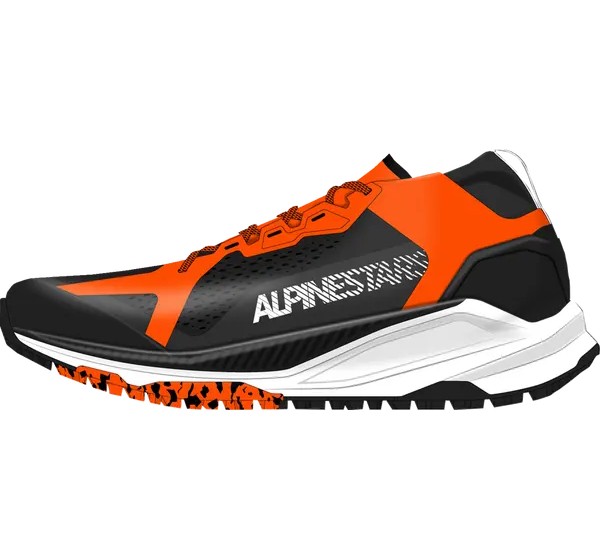 ALPINESTARS (ROAD) Straße - Detailansicht