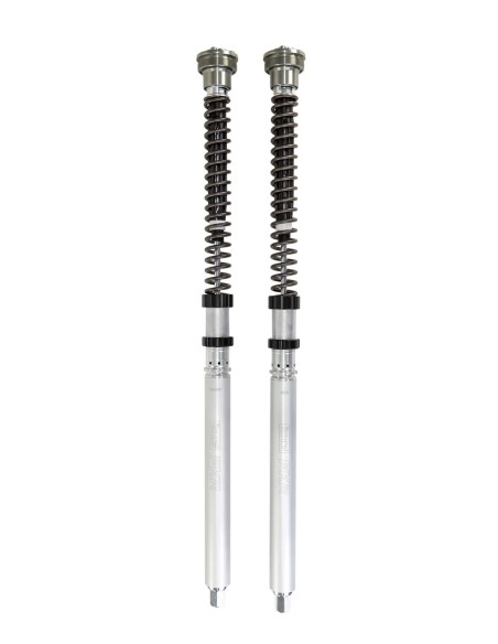 OHLINS Federung vorne für YAMAHA YZF-R1 1000 ABS 2015-2024