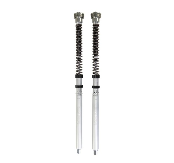 OHLINS Federung vorne für YAMAHA YZF-R1 1000 ABS 2015-2024