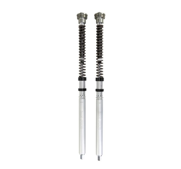 OHLINS Federung vorne für KAWASAKI ZX-10 R 1000 ABS 2016-2025
