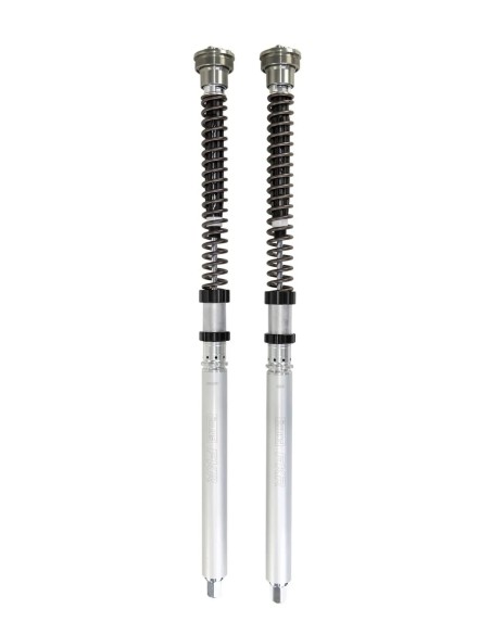 OHLINS Federung vorne für DUCATI PANIGALE V2 890 ABS 2025