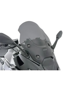 Touring Windschild BMW R1300RS