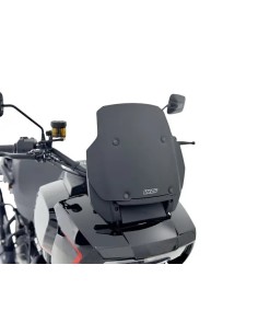 Windschild Sport HD Pan America