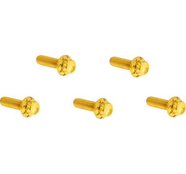 ARLEN NESS Montagematerial & Zubehör - BOLT KIT TITANIUM - M8 17-UP -