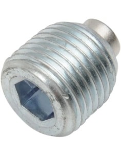 Magnetische Ablassschraube