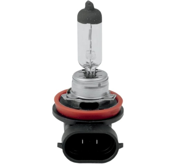 DRAG SPECIALTIES Glühbirnen - BULB H11 HALOGEN 55W LO ONLY