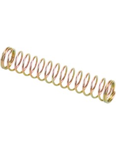 Original Mikuni Nadel-Ventilfeder