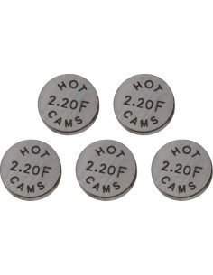 Ersatz-Ventilplättchen