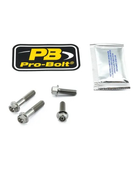 PRO BOLT Montagematerial & Zubehör - BR/CL LEV PIN BT KT TIT