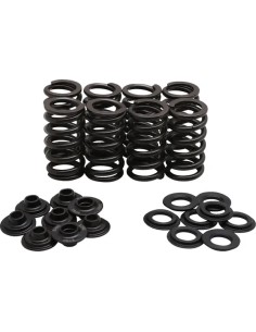 Leichtes Racing-Ventilfeder-Kit