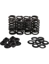 Leichtes Racing-Ventilfeder-Kit