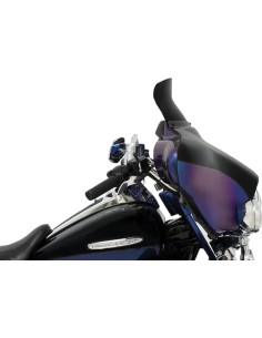 Batwing Spoiler Windschild