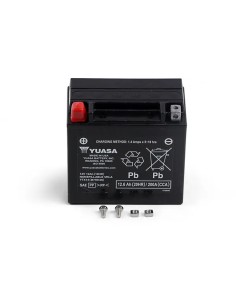 AGM wartungsfreie Batterie