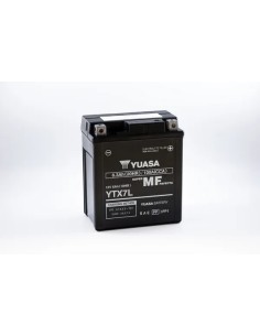 Wartungsfreie Batterie