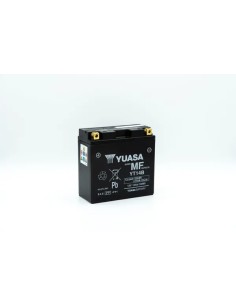 Wartungsfreie Batterie