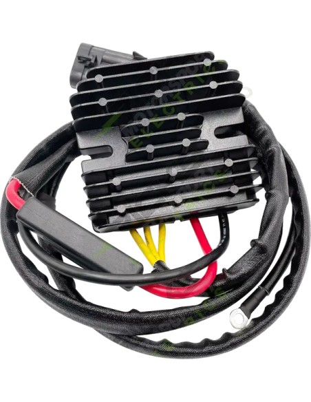 RICK'S MOTORSPORT ELECTRIC Anlasser & Zündung für CAN AM (BRP) DEFENDER HD10 4X4 2020-2023