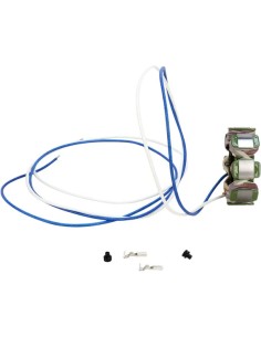 Stator